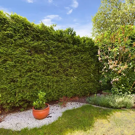 Gdanski Przytulna Z Ogrodkiem I Tarasem By Renters *